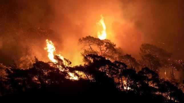 Son Dakika: Ticaret Bakanlığı, yangın söndürme ekipmanlarına yapılan fahiş fiyat artışlarıyla ilgili inceleme başlattı