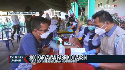 Ribuan Karyawan Pabrik di Cicalengka Divaksin