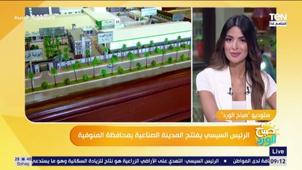 مقرر "القومي للسكان السابق": العيل مش بييجي برزقه.. العيل مسئولية ومحتاجين نتحكم في الزيادة السكانية