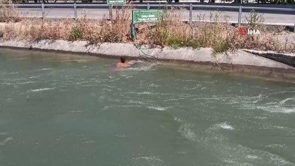 Tehlikeye balıklama atlayış