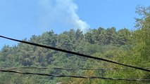 Beykoz’da ormanlık alanda yangın çıktı
