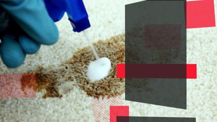 Carpet Cleaning London