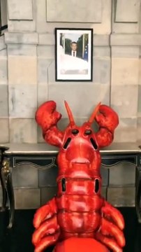 Pass sanitaire: Un homme déchire le portrait d'Emmanuel Macron à la maire de Besançon et le remplace par un QR Code avec un doigt d'honneur