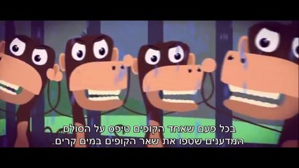 5 monkeys heb