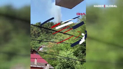 İstanbul Beykoz'da orman yangını