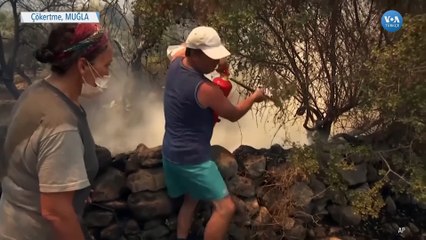 Yangın Tüpleriyle Ağaçlarını Kurtarmaya Çalıştılar