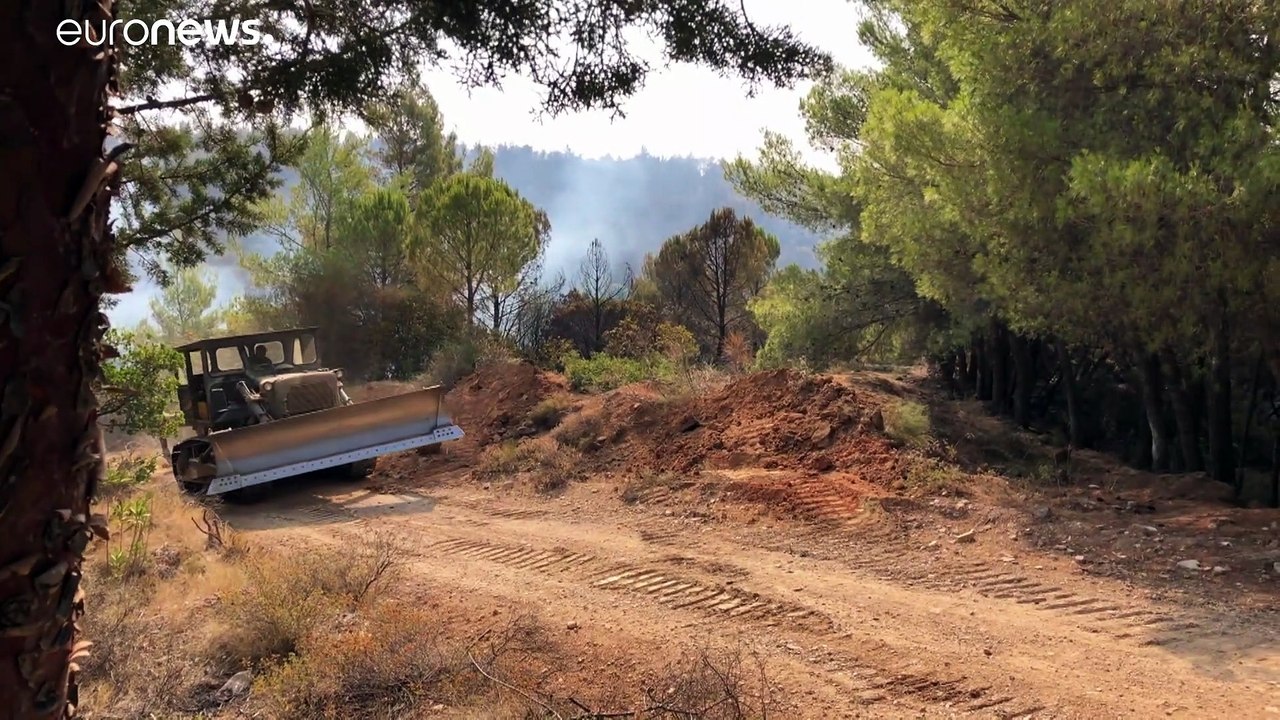 Incendie aux portes d'Athènes : les habitants découvrent "le désastre"