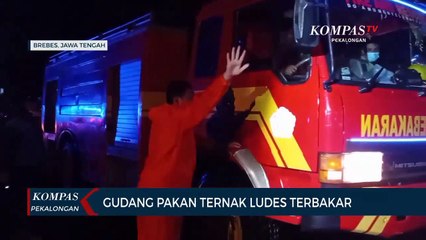Gudang Pakan Ternak Ludes Terbakar