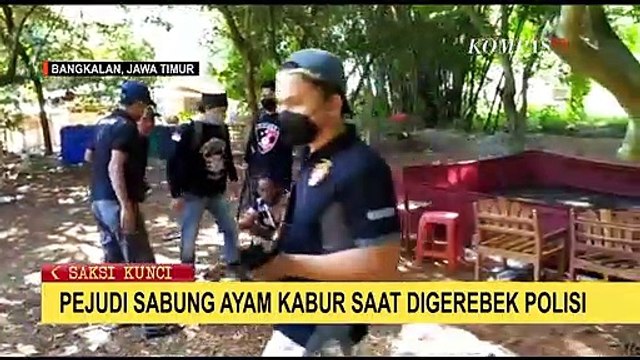 Kabur saat Digerebek, Polisi Bakar Tempat Perjudian Sabung Ayam di Bangkalan