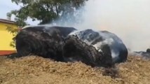 Limosano (CB) - Rotoballe in fiamme minacciano abitazioni: intervengono Vigili del Fuoco (04.08.21)