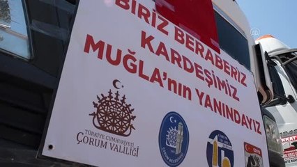 Yangından etkilenen Muğla'ya 176 ton hayvan yemi gönderildi