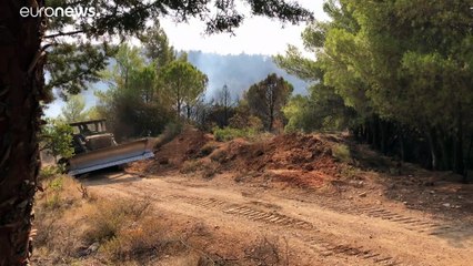 Atene assediata dalle fiamme e dal caldo torrido. Le autorità: "Restate a casa"