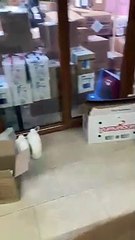 Fesleğen Pati Ailesi yüzleri güldürüyor…