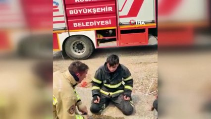 Yangının ortasında kalan kaplumbağayı kurtardılar