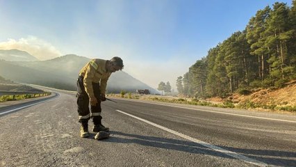 Gündoğmuş'taki yangında mahsur kalan kaplumbağayı orman işçileri kurtardı