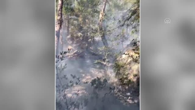 Feke ilçesinde çıkan orman yangınına müdahale ediliyor