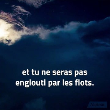 Avec saint Bernard de Clairvaux, regardez Marie !