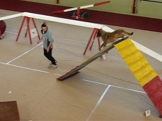 Cyrille rafale degrès 240208