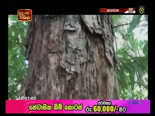 Atapattama 2021.08.04