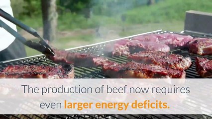 Cultural Ecology: Industrial Agriculture Part-1