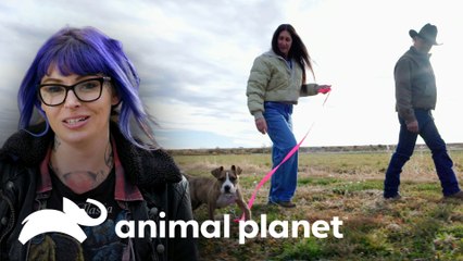 Dramático rescate acaba en dulce y feliz adopción | Pit Bulls y convictos | Animal Planet