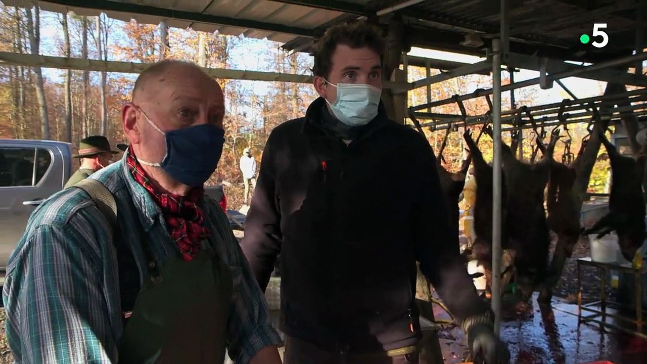 Le doc du dimanche - Le gibier sort du bois