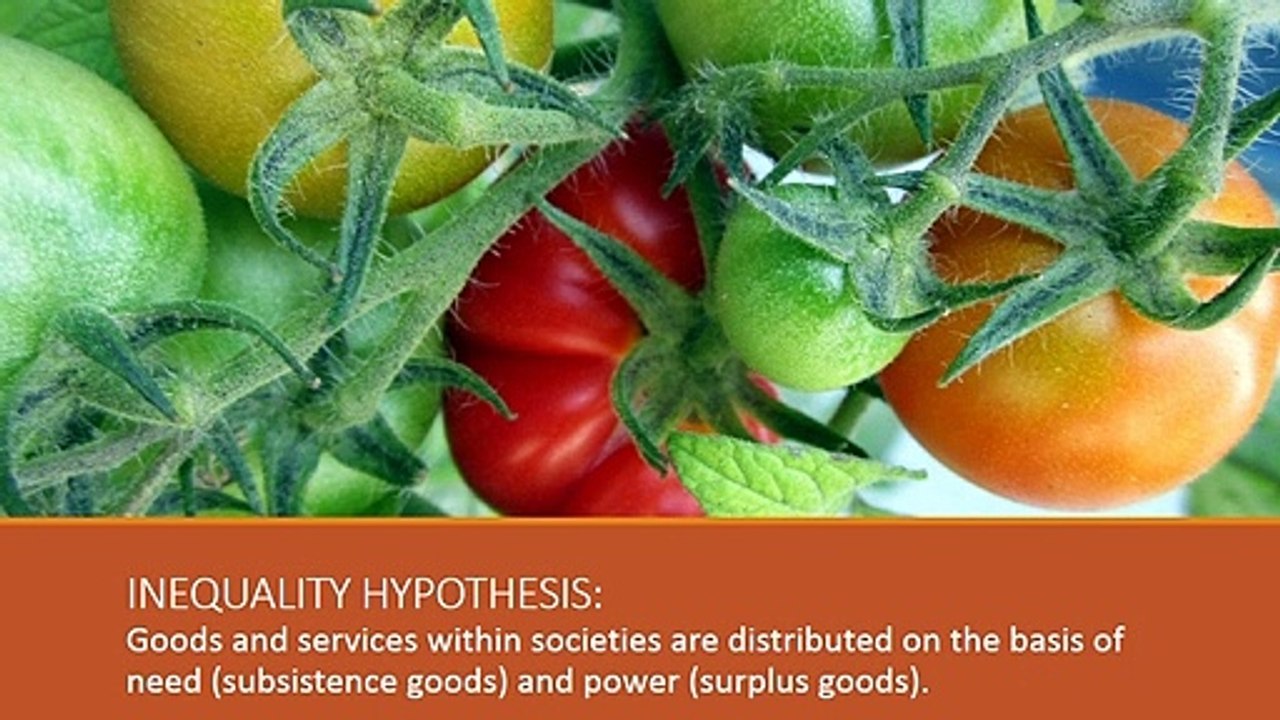 Social Theory: Gerhard Lenski's Inequality Hypothesis