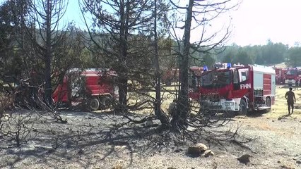 Orman yangınlarının söndürme çalışmalarına Azerbaycan'dan gelen ekipler de destek verdi