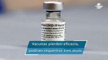 Vacunas de Pfizer y Sinovac pierden eficacia ante Covid sintomático, señala estudio