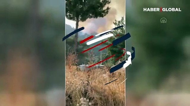 Muğla'nın Seydikemer ilçesinde orman yangını çıktı