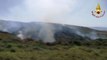 Incendi boschivi nel Sud Italia, 800 interventi dei vigili del fuoco in un solo giorno
