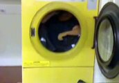 Fireman Spins in Dryer