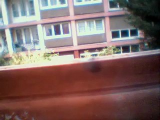 tout les pétar dojorudi