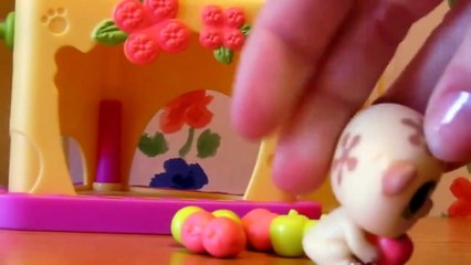 Nom Nom Nom Hamster Dance Song - LPS Music Videos