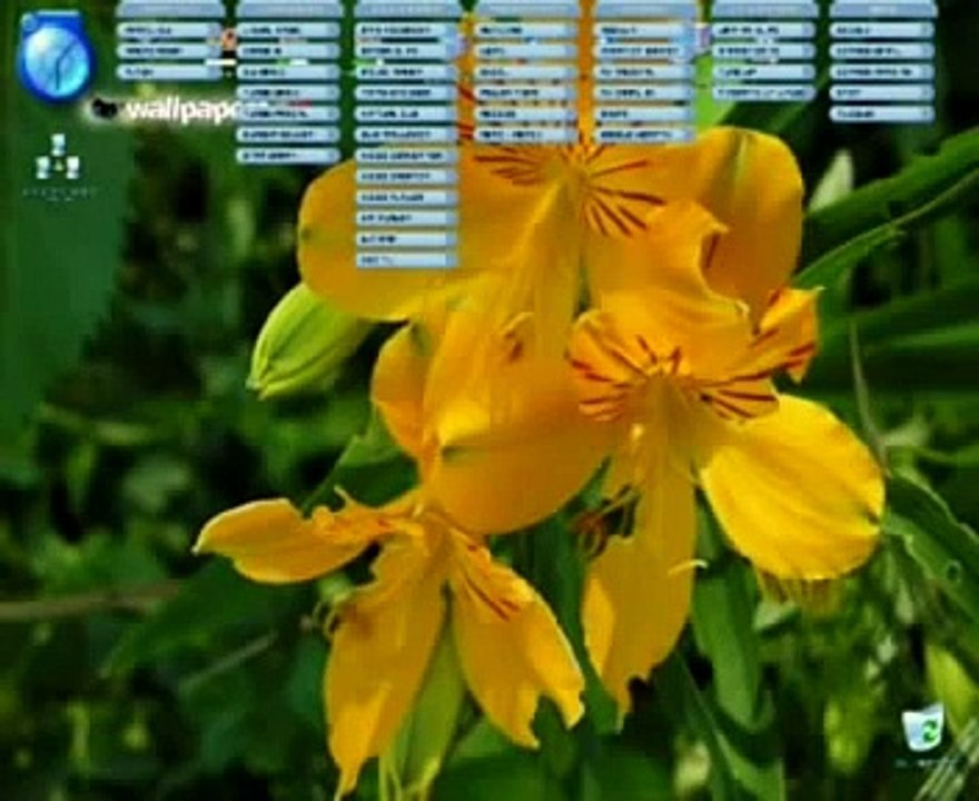 Windows XP - Portable - Windows XP en un Pendrive - Windows XP desde el USB