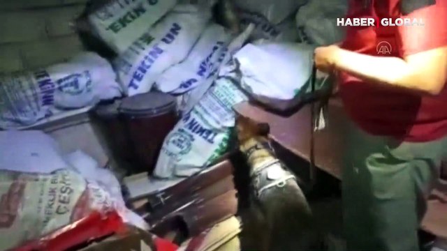 Van'ın İpekyolu ve Tuşba ilçelerinde narkotik operasyonu