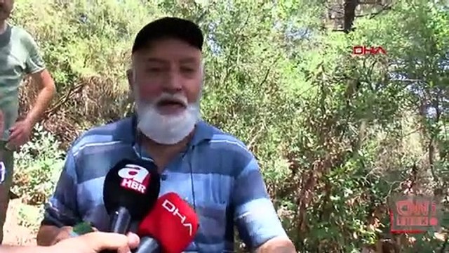 Beykoz'da ormanlık alanda çıkan yangın kontrol altına alındı