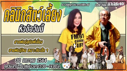 สายพันธุ์สุนัขพี่เลี้ยง สายพันธุ์ไหนเหมาะกับเด็กๆ EP.1 : FM91 คลินิกสัตว์เลี้ยง : 30 มกราคม 2564