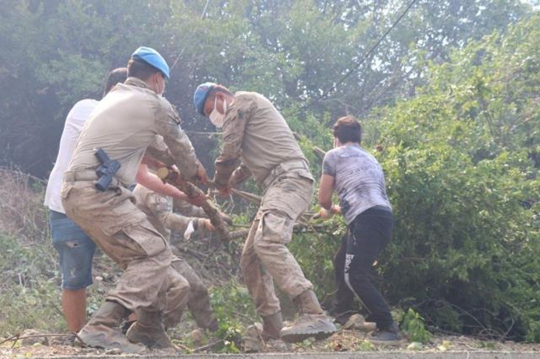 Son dakika haber... Jandarma Genel Komutanlığı: "Yangın söndürme çalışmalarına 2 bin 630 personel, 339 araç ve 6 helikopterle ile destek veriliyor"