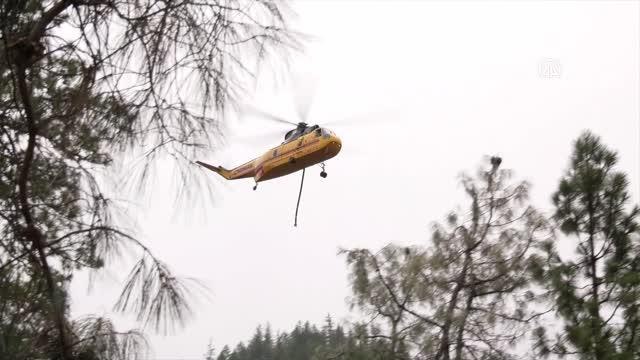 KALİFORNİYA - Orman yangınları devam ediyor