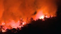 Incendi in Turchia, evacuata la centrale termoelettrica di Milas