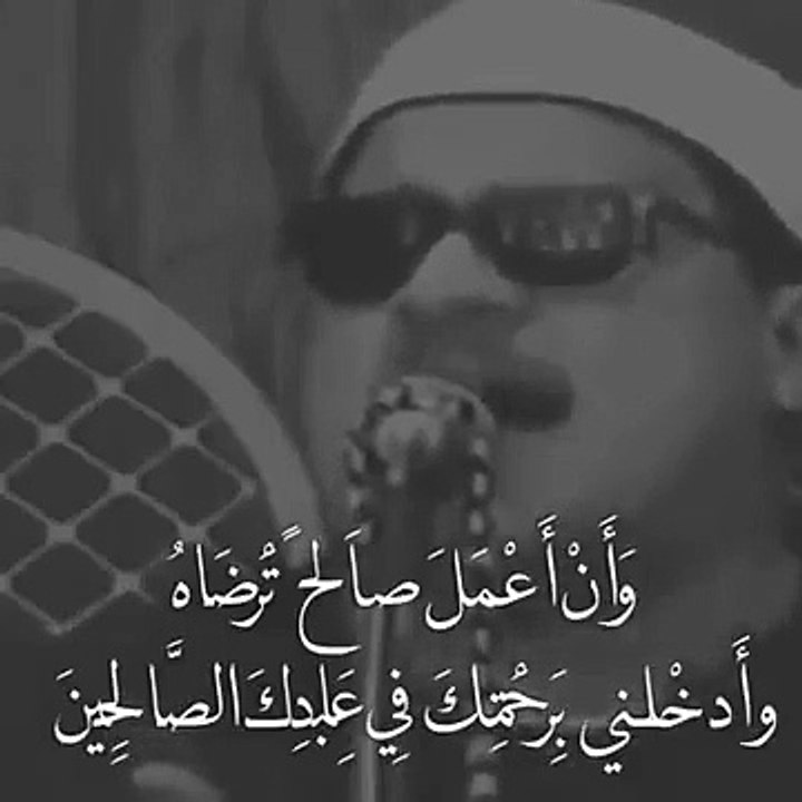 وتفقد الطير - الشيخ ممدوح عامر - المقطع كامل