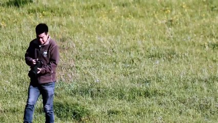 SIGMA 150-600mm F5-6.3 DG DN OS Sports