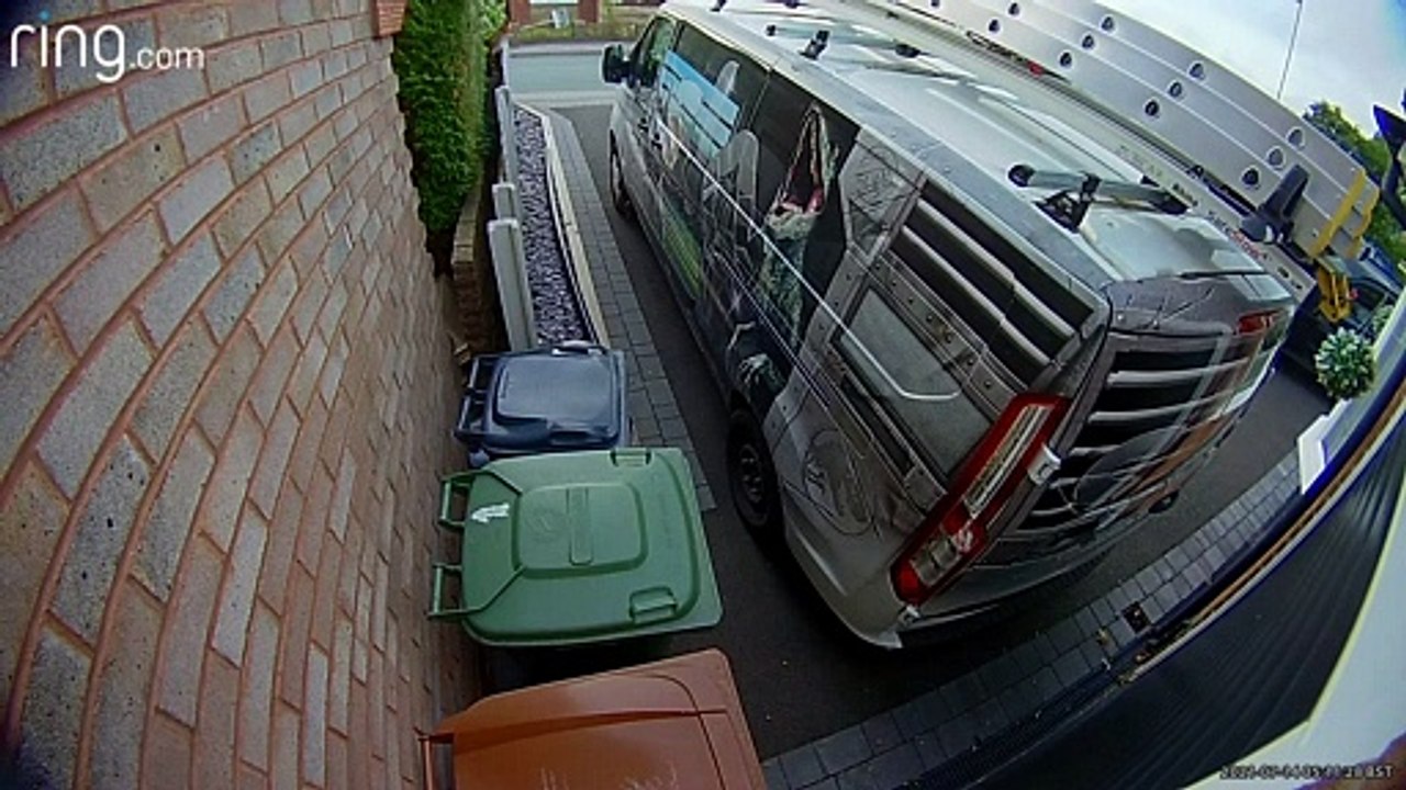 Squirrel Climbs Van to Escape Fox