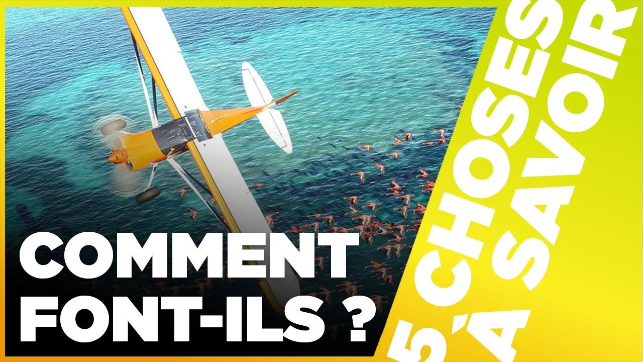 FLIGHT SIMULATOR : COMMENT ONT-ILS FAIT ? - 5 Choses à Savoir sur Flight Simulator