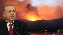 Son Dakika: Cumhurbaşkanı Erdoğan'dan orman yangınlarında terör izi iddialarına yanıt: Tutuklananların ailelerinde PKK bağlantısı var