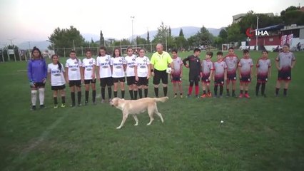 Sahaya girdi, maçın başlamasına izin vermedi