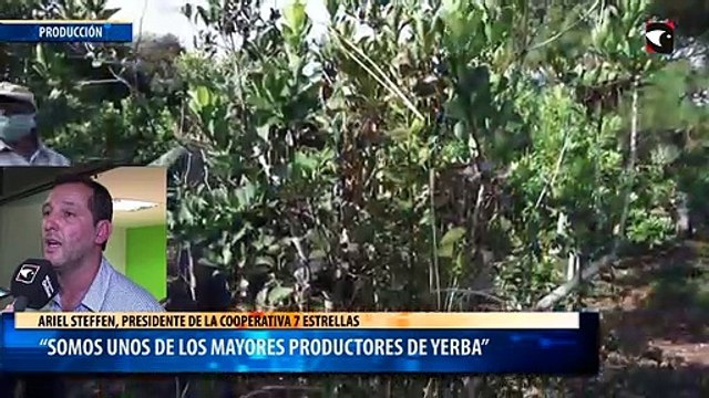 “Somos unos de los mayores productores de yerba”