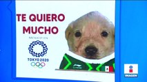 Perrito apoya a México en Tokyo 2020 con la frase 