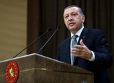 Cumhurbaşkanı Erdoğan yanan alanların turizme açılacağı iddialarına yanıt verdi